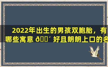 2022年出生的男孩双胞胎，有哪些寓意 🐴 好且朗朗上口的名字 💐